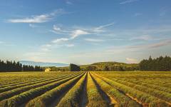 Davy AHOUA - STUDIO VISUALIZER